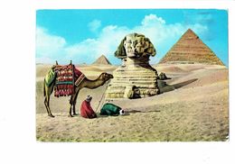 Cpm - Egypte > Prière Auprès Du Grand Sphinx - 1967 - Chameau - Sphinx