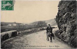CPA Ane Donkey Anes Béhorie Basses Pyrénées - Anes