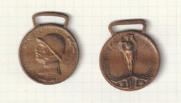 MEDAGLIA COMMEMORATIVA DELLA GUERRA ITALO AUSTRIACA - - Italie