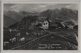 Alp Atzmännig Goldingen - Alpgenossenschaft Elgg, Alphirt Jos. Artho - Photo: A. Kobelt - Goldingen