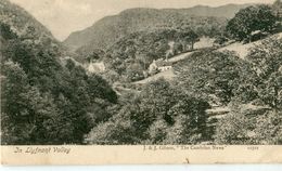 UNITED KINGDOM / ROYAUME - UNI - In Llyfnant Valley - Montgomeryshire