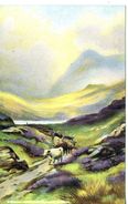 ARTIST - A MOUNTAIN PATH NEAR BARMOUTH Art372 - Merionethshire