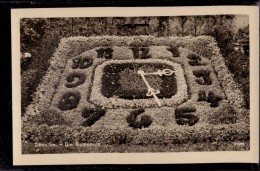 Zittau - S/w Die Blumenuhr - Zittau