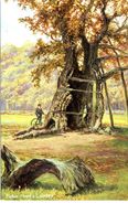 ARTIST - ROBIN HOOD'S LARDER, THE DUKERIES Art397 - Sonstige & Ohne Zuordnung