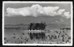 RICHTERSWIL ZH Insel Schönenwerd Wollerau Ca. 1930 - Richterswil