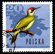 POLOGNE. N°1569 Oblitéré De 1966. Pivert. - Spechten En Klimvogels