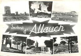 PIE 17-FL-8579 : ALLAUCH - Allauch
