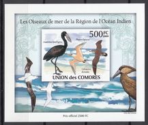 2009 Comores  Stamps Cormorant S/S Imperforated Stamp - Zwaluwen