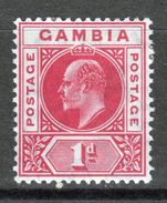 Gambia Edward VII Definitive 1d Stamp From 1904. - Gambie (...-1964)