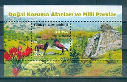 Turkey, 2017 Issue, MNH - Blocks & Sheetlets