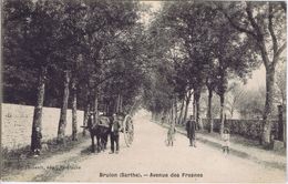 72 - Brulon (Sarthe) - Avenue Des Fresnes - Brulon