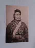 Chief JOSPH ( Azusa / Copy - Original Phot. By OS Goff In 1877 ) Anno 1997 ( Details : Zie Foto's ) !! - Other & Unclassified