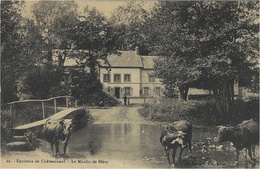 22- Environs De Chateauneuf - Le Moulin De Blévy  -ed. Foucault - Châteauneuf