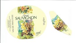 Etiquette De VIN De PAYS D'OC " SAUVIGNON 1996 " - Vin De Pays D'Oc