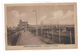 CPA Drancy Blanc Mesnil La Station Et Le Pont - Drancy