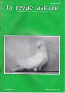 LA REVUE AVICOLE INFORMATIONS AVICOLES CUNICOLES ET COLOMBICOLES No 1  JANVIER - FEVRIER 1989 - Animales