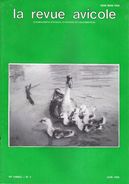 LA REVUE AVICOLE INFORMATIONS AVICOLES CUNICOLES ET COLOMBICOLES No 3  JUIN 1989 - Animales