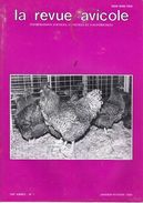 LA REVUE AVICOLE INFORMATIONS AVICOLES CUNICOLES ET COLOMBICOLES No 1  JANVIER-FEVRIER 1990 - Animales