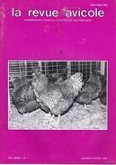 LA REVUE AVICOLE INFORMATIONS AVICOLES CUNICOLES ET COLOMBICOLES No 1  JANVIER-FEVRIER 1990 - Animaux