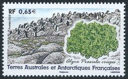 TAAF - 2013 - Flore - Algues  -   N° 648  - Neuf ** - MNH - Unused Stamps