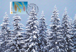 Carte-Maximum FINLANDE N° Yvert 1561 (Epicea) Obl Sp Ill 1er Jour 2002 - Maximum Cards & Covers