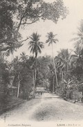 CPA  LAOS LUANG-PRABANG UNE AVENUE - Laos