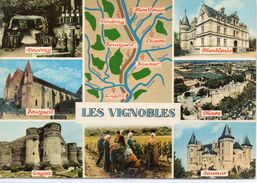 Val De Loire Les Vignobles Belle Multi-vues Animée Vouvray Bourgueil Angers Montlouis Chinon Saumur - Pays De La Loire