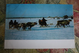 Russia. North. Yamal Region. Traditional National Games . Deer Race  - Old Russian Postcard 1974 - Jeux Régionaux