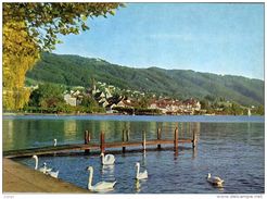 SUISSE  ZUG Am Zugersee Mit Zugerberg    2 Scans  TBE - Zugo