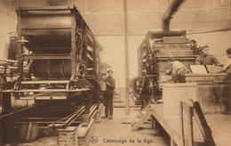 Delcampe - Carte Postale Allumette Union Allumettière Bruxelles Fabrication De La Pâte - Industrie