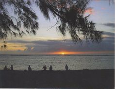 974 ILE DE LA REUNION  - PLAGE ET FILAOS DEVANT LE LAGON HERMITAGE ST GILLES LES BAINS - Autres & Non Classés