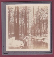 191117 - PHOTO ANCIENNE 1900 - 69 LYON - Parc De La Tête D'or - Bois Neige Cygne - Lyon 6