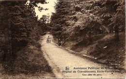 BRUXELLES (1180) : Une Allée Du Parc De L'Hôpital De Convalescents De L'Assistance Publique De Bruxelles, à Verrewinkel. - Santé, Hôpitaux