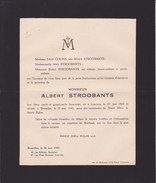 LOUVAIN BIERBEEK Albert STROOBANTS Famille COLINS 1864-1943 - Todesanzeige