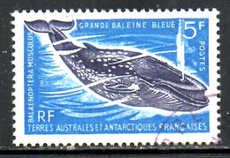 TAAF. N°22 Oblitéré De 1966. Baleine. - Usati