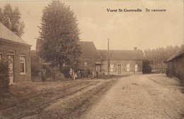 Carte Postale Vorst St Gertrudis Tramstatie Tram - Laakdal