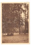 Groot-Bijgaarden - Ste Wivinaklooster - Broeders Der Christelijke Scholen - Zicht Op Het Park - Dilbeek