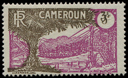 * CAMEROUN 148a : 3f. Lilas Et Brun, DOUBLE Impression De La Valeur, TB - Autres & Non Classés