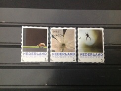 Nederland / The Netherlands - Complete Set Natuurkunst, Kruisspin 2016 - Used Stamps