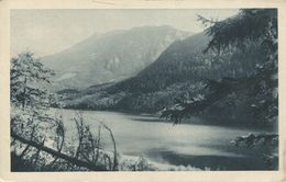 Lunzersee Mit Scheiblingstein (001527) - Lunz Am See