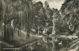 Luftkurort Auerbach A. D. Bergstrasse - Am Schwanenteich (001532) - Bensheim