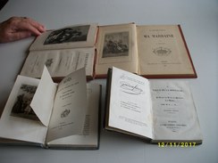 Lot De 4 Livres:Agnès Ou La Petite Joueuse De Luth 1850 - Wholesale, Bulk Lots
