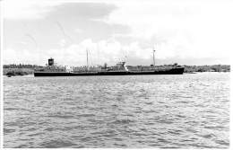 "KORATIA " ** Real Photo / Carte Photo ** ( NL ) BATEAU DE COMMERCE Cargo Merchant Ship Tanker - Format CPA - - Handel