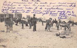 Malo Les Bains      59       Plage Du Kursall. Anes              (voir Scan) - Malo Les Bains