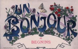 Begnins, Un Bonjour De Begnins (5.9.08) - Begnins