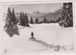 SUISSE,valais,CRANS SUR SIERRE,prés D'icogne,lens Montana,SKIEUR,CARTE PHOTO DUBOST - Sierre