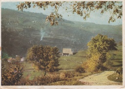 17 / 11 / 292  +  MÜNSTERTAL  ( BAD WU )  - PAYSAGE    -  CPM ( GRD. MOD. ) - Muenstertal