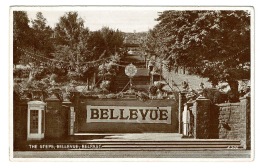 RB 1178 -  Postcard - Telephone Box At The Steps Bellevue - Belfast Antrim Ireland - Antrim