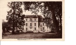 SAINT COULOMB CHATEAU DE LA FOSSE INGANT - Saint-Coulomb