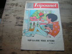 FRIPOUNET Marisette  1968  N° 39 - Fripounet